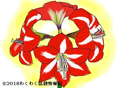 乾燥花迷信|花の神話と伝説！厳選した20のエピソードをイラスト入りで紹介